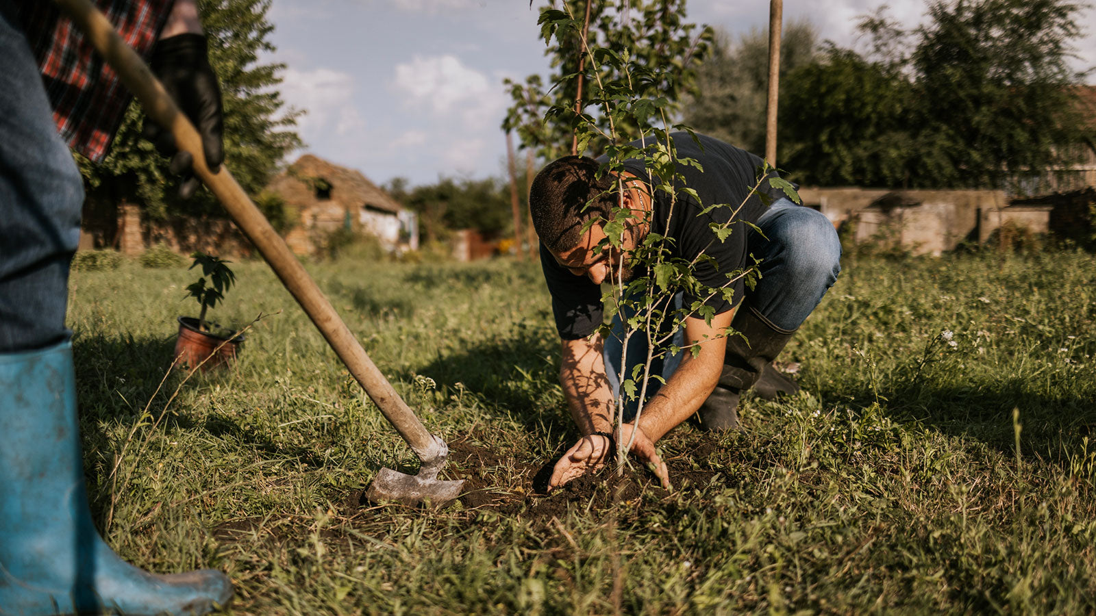 6 Easy Steps for Planting Plants, Shrubs & Trees