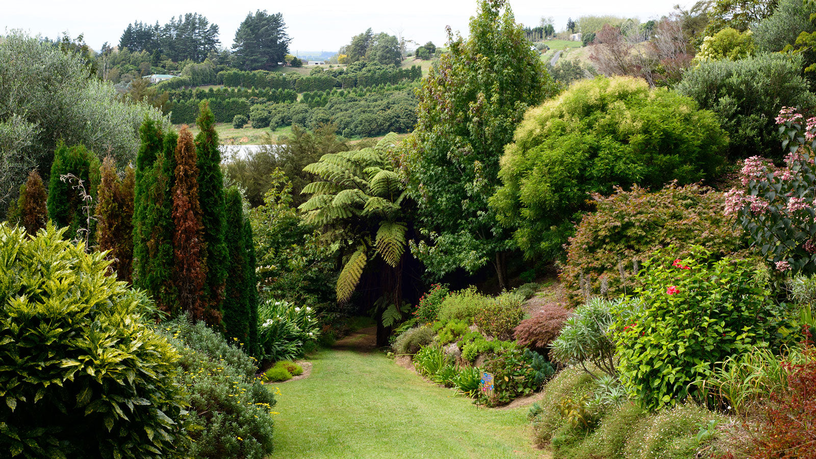 Top 18 elements when deciding on your tree species