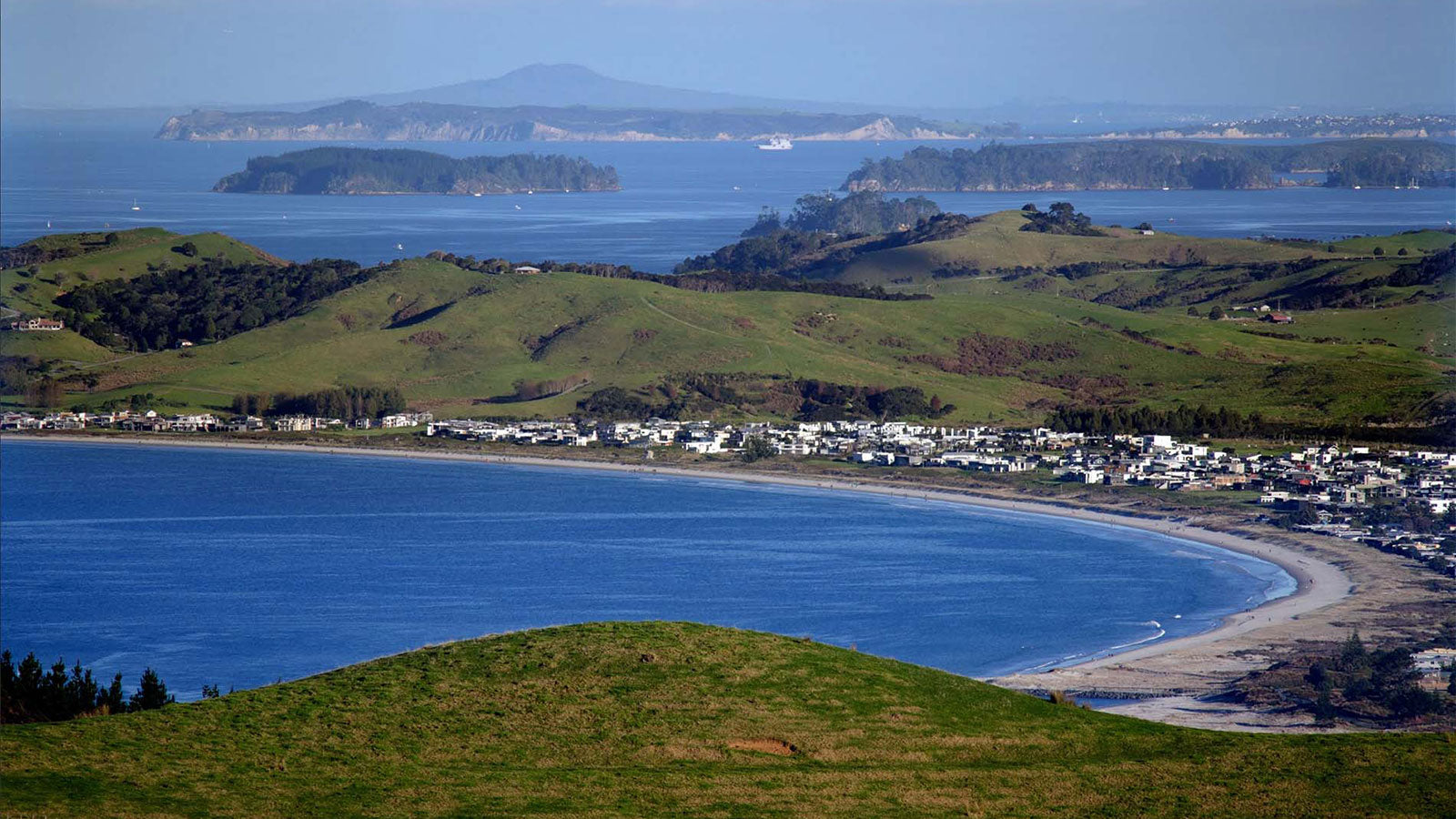 15 Best Trees to Plant in Omaha