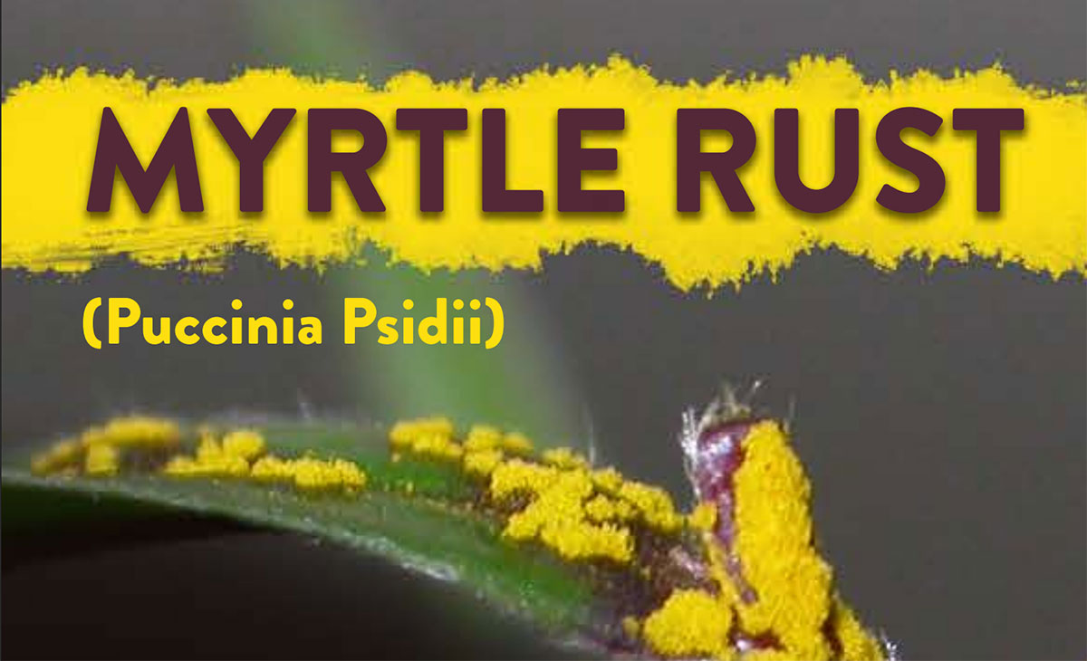Myrtle Rust Special Bulletin 