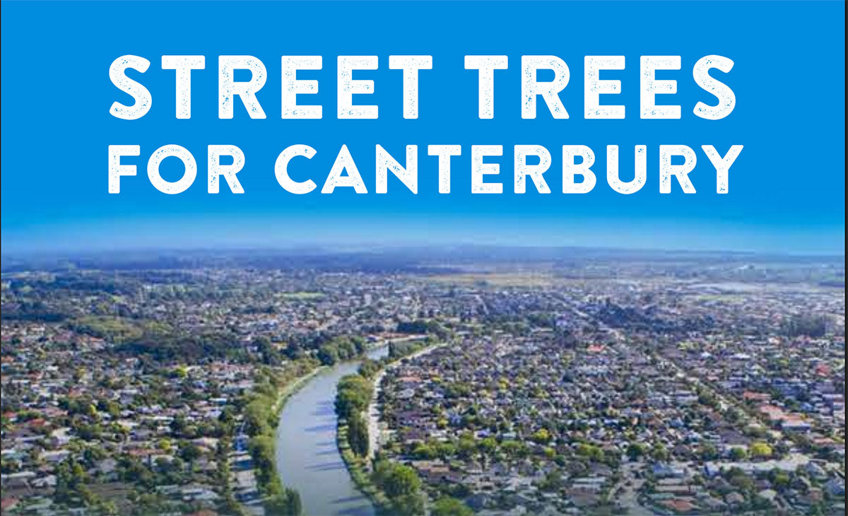 Street Trees for Canterbury