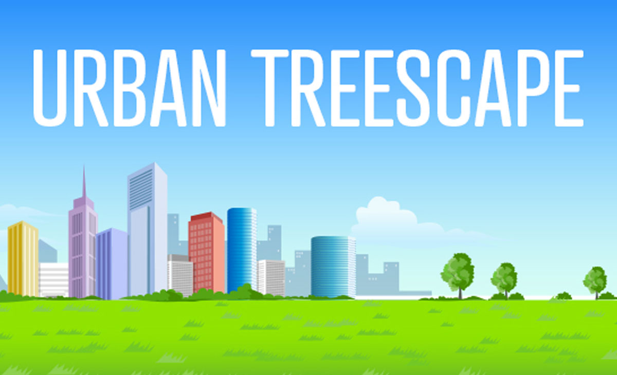 Read about Urban Treescape